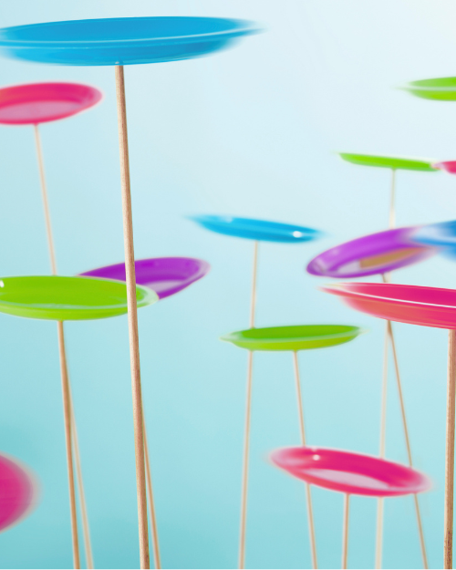 Frank! Spinning plates